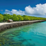통가 기후 변화 대응 전략 - **Image Title: Coastal Fortification and Living Barriers in Tonga**
    A wide-angle, vibrant photog...
