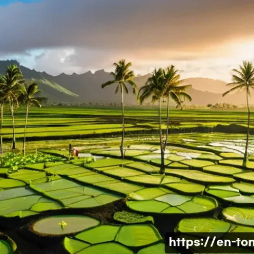 Home 17 통가에서 재배되는 특산물 - A vibrant Tongan taro farm scene at sunrise, featuring lush green wetland patches with carefully irr...